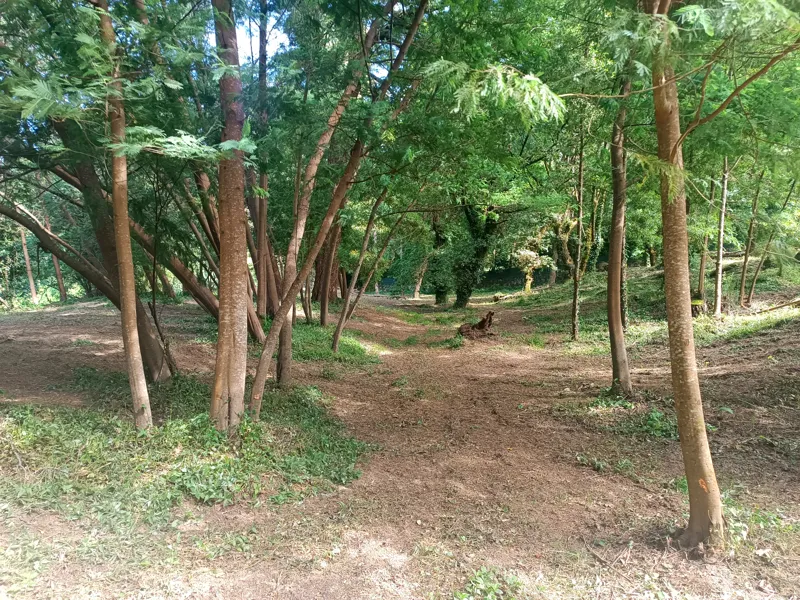 Foto Extra